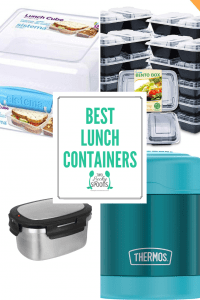 Best Back to School Lunch Containers