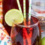 Woo Woo Cocktail - Best Vodka Alcohol Drinks Recipe